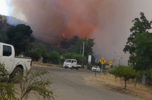 Declaran Alerta Roja para la comuna de Paine por incendio forestal