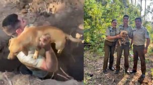 Funcionarios de Carabineros rescataron a perrito atrapado en una cueva de conejo en sector rural