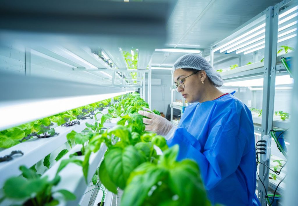 Agricultura vertical: Expertos presentaron avances y ejecuciones de este proyecto