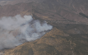 Declaran Alerta Roja en Pudahuel y Curacaví por incendio forestal en la Cuesta Lo Prado