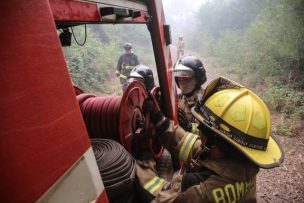 Dos detenidos en Arauco por su presunta participación en un incendio forestal