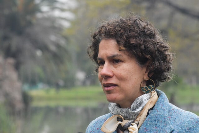 Sonami critica declaraciones de la ministra de Medio Ambiente: Dijo que un proyecto minero grande “no es urgente”