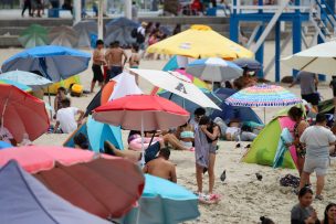 Picaduras en verano: ¿Cómo tratarlas y en qué casos acudir a un centro médico?