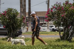 DMC emite aviso por altas temperaturas en Antofagasta: Revisa el pronóstico para el resto del país