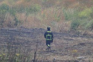 Ñuble: Declaran Alerta Temprana Preventiva por amenaza de incendios forestales