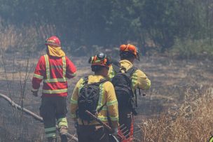 Corma hace un llamado a extremar las medidas de prevención para evitar víctimas fatales producto de los incendios forestales