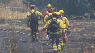 Declaran alerta roja en Navidad por incendio forestal: Senapred ordena evacuar cuatro sectores