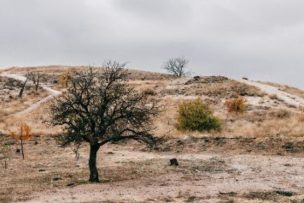 Crisis hídrica en Coquimbo: Especialistas plantean medidas para enfrentar la emergencia regional