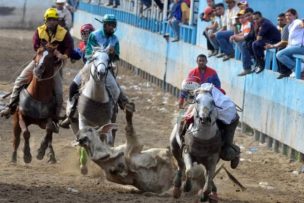 Municipalidad de Paine desmiente «Fiesta Llanera» anunciada por agrupaciones venezolanas: “Esto solo traerá enfrentamientos y problemas colaterales”