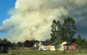 Incendio en Puerto Montt: Senapred ordena evacuar Las Canchas y Las Cahuellas y decreta Alerta Roja