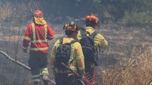 Senapred decreta alerta roja para las provincias de Marga Marga y Valparaíso: Hay tres focos activos