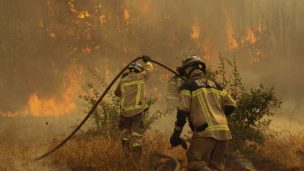 Incendio forestal afecta a dos sectores de la comuna de Quilpué