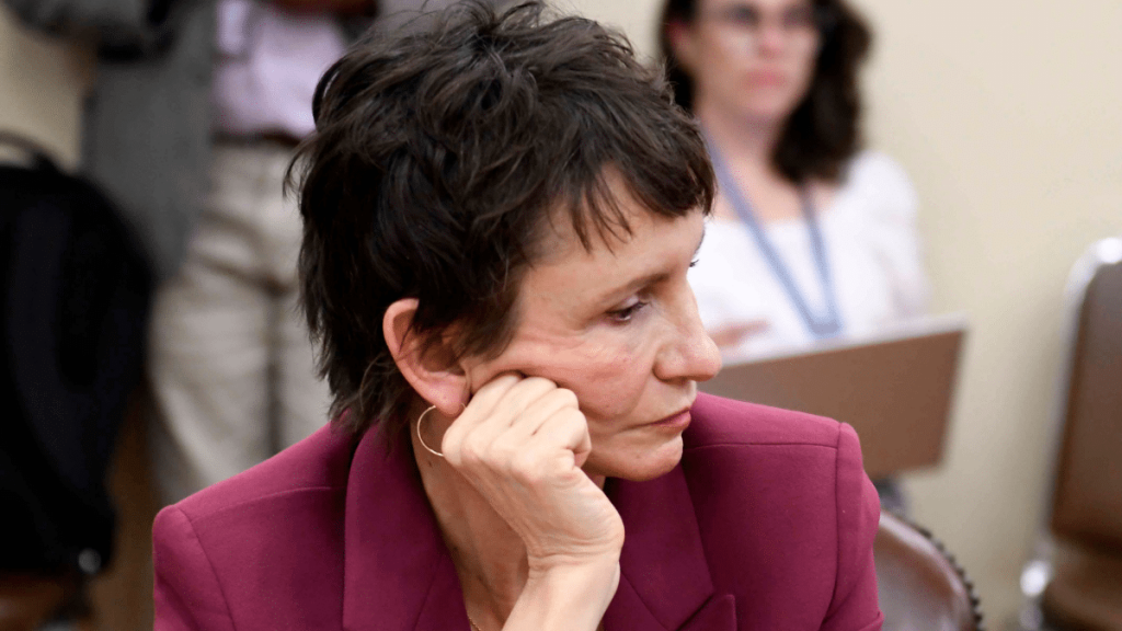 Ministra Tohá por incendios forestales: “Hay elementos para decir que fue intencional”