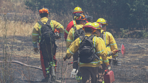 Senapred pide evacuar sector de Parcelación La Aguada en la comuna de La Estrella por incendio forestal