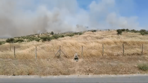 Pumanque en alerta roja por incendio forestal que se encuentra 