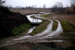 Expertos alertan sobre el Fenómeno de La Niña y su impacto en la agricultura este 2024