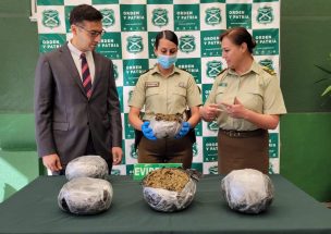 Más de 4 kilos de marihuana incautados: Carabineros de Ñuble decomisó droga a extranjero que intentó evadir control policial