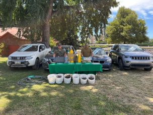 Araucanía: Carabineros recuperó cuatro vehículos de alta gama tras allanamiento