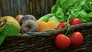 Estudio reveló que más del 60% de la población considera que los vegetales  son más saludables y amigables con el medio ambiente 