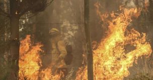 Falleció brigadista que sufrió graves quemaduras en combate de incendio forestal