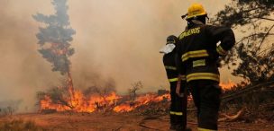 Alerta Amarilla para la Comuna de Ovalle por incendio forestal