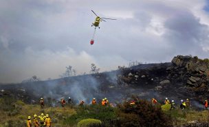 Desafíos de verano: Expertos U. de Chile explican estrategias frente a los incendios forestales en paisajes urbanos