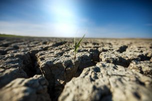 Experta cuestiona campaña “apocalíptica” del Gobierno: “El cambio climático no necesita publicidad, sino acciones concretas”