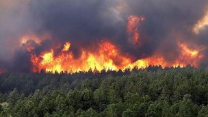 Gobierno de Colombia declara la situación de desastre natural por los incendios forestales