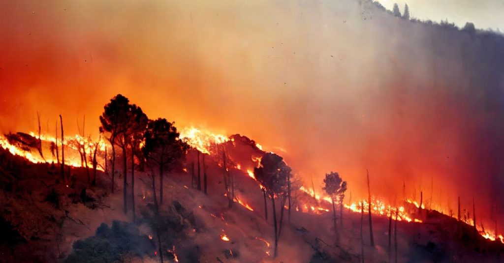 Declaran Alerta Roja para la Comuna de Los Álamos por incendio forestal