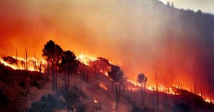 Las Cabras: declaran Alerta Roja por incendio forestal