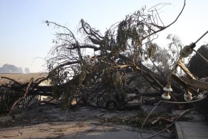 Incendios en Valparaíso: Piden evacuar tres sectores de la comuna de Quilpué