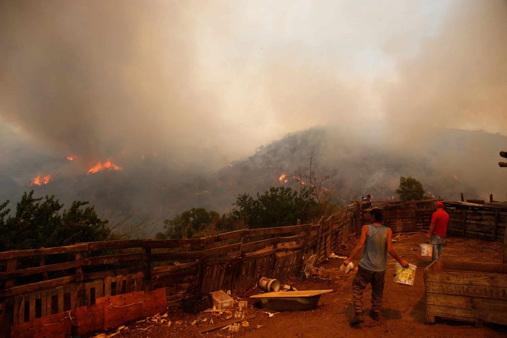 Ordenan evacuar sector Conihueco en Hualqui por incendio forestal