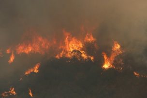 Senapred pide evacuar sectores de Colina de Oro y Las Esmeraldas en Quilpué