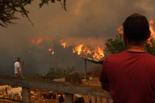 Incendios en Viña del Mar: Achs ofrece atención de salud gratuita y primeros auxilios psicológicos