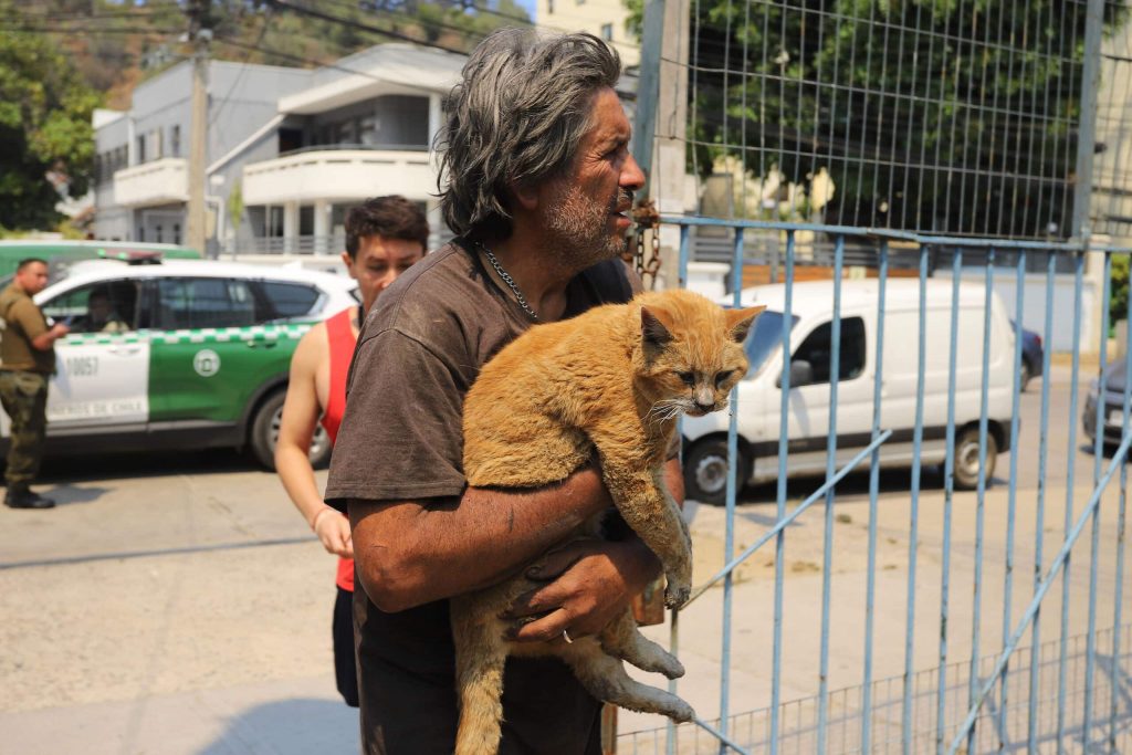 Recomendaciones para el  resguardo de mascotas en zonas afectadas por incendios