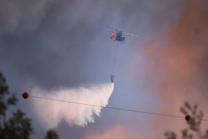 Cuatro personas fallecieron al interior del Jardín Botánico por los incendios en Viña del Mar