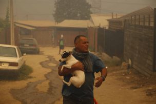 Senapred llamó a evacuar tras recibir mensajes SAE: Se hará