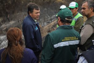 Ministro de Agricultura dice que detrás de los incendios 