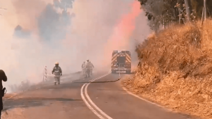 Declaran alerta roja para la región de O'Higgins por incendio forestal