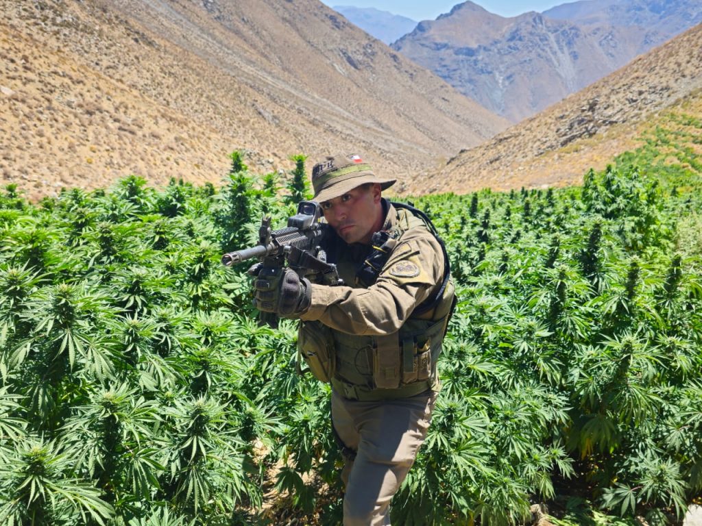 Monte Patria: Carabineros realizó millonaria incautación de droga
