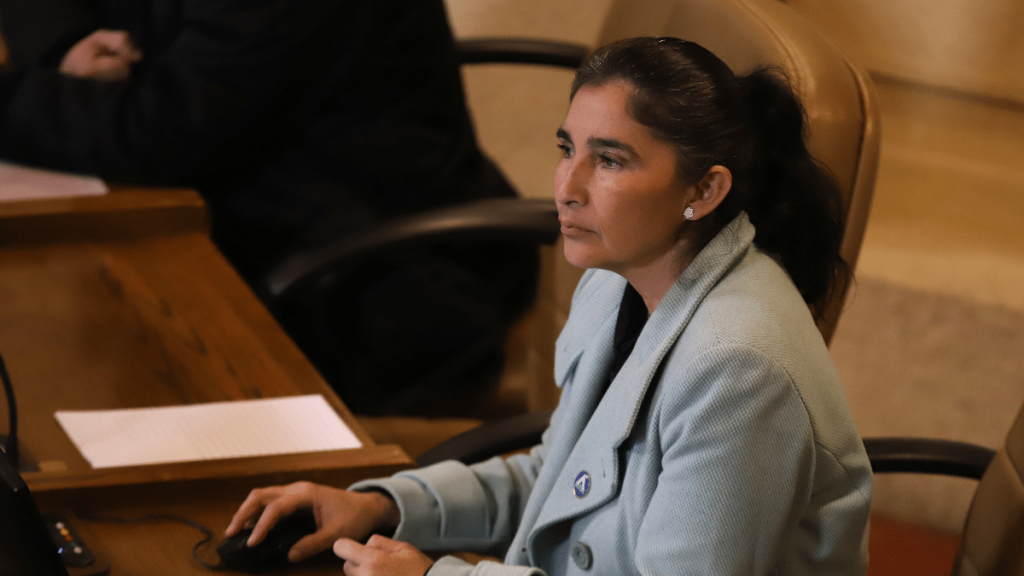Diputada Ahumada por modificación de cautelares de Andrade y Contreras: “No significa que sean inocentes”