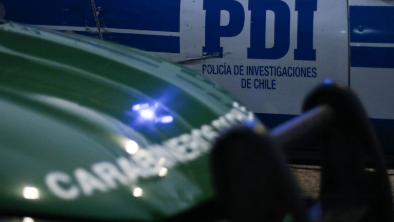 Diputados UDI anuncian proyecto para tipificar como delito el 