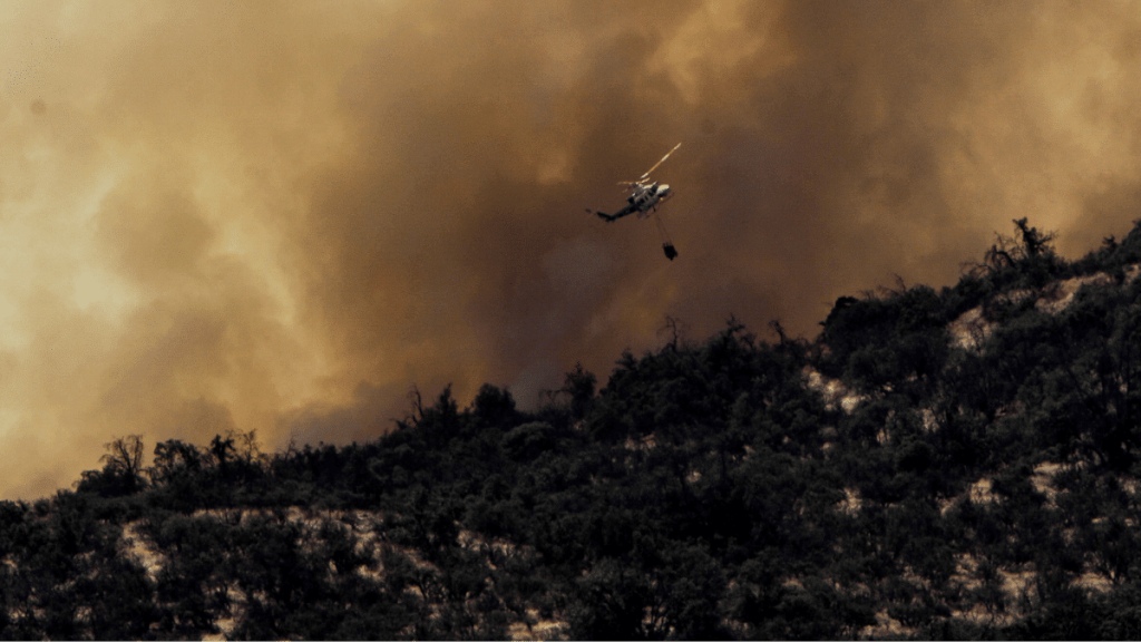 Incendios forestales en O’Higgins: En La Estrella y Navidad las llamas han consumido casi dos mil hectáreas