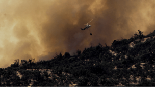 Incendios forestales en O'Higgins: En La Estrella y Navidad las llamas han consumido casi dos mil hectáreas