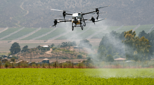 Drones con Inteligencia Artificial revolucionan la industria agrícola en Chile