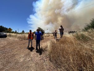 Araucanía: Alcalde de Galvarino pide modificar la Ley de Bosques tras seguidilla de incendios forestales