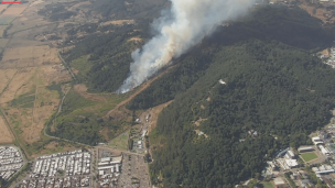 Incendio afecta al Monumento Natural Cerro Ñielol en Temuco