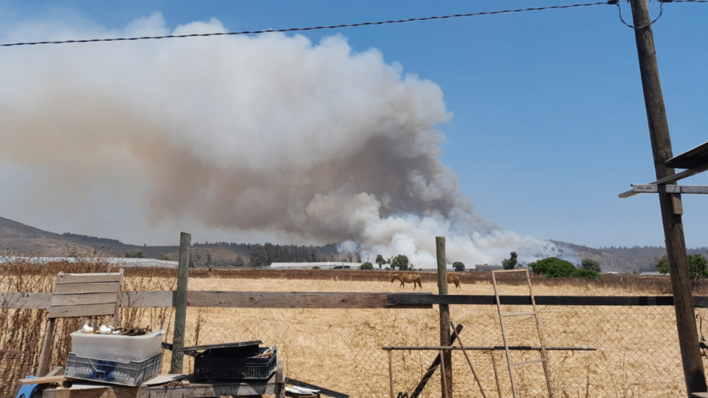 Alerta roja para la comuna de Papudo por incendio forestal: “Se mantiene activo con avance rápido”