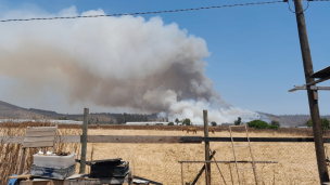 Alerta roja para la comuna de Papudo por incendio forestal: 