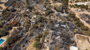 Incendios en región de Valparaíso: Autoridades extienden estado de excepción en zonas afectadas